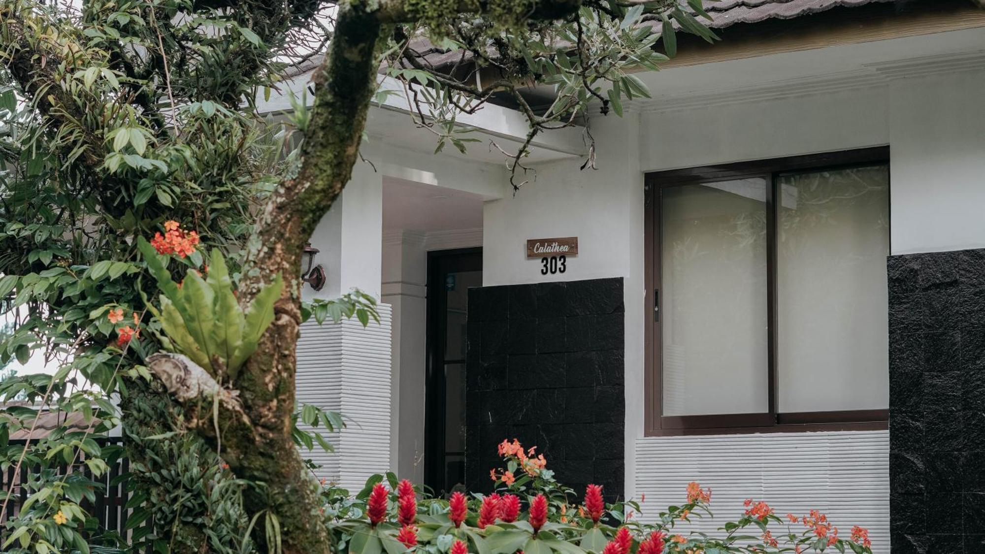 Damar Langit Resort Чисаруа Экстерьер фото